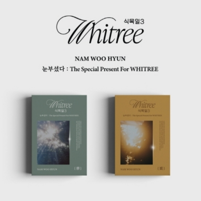 NAM WOO HYUN - THE SPECIAL PRESENT FOR WHITREE (눈부셨다)